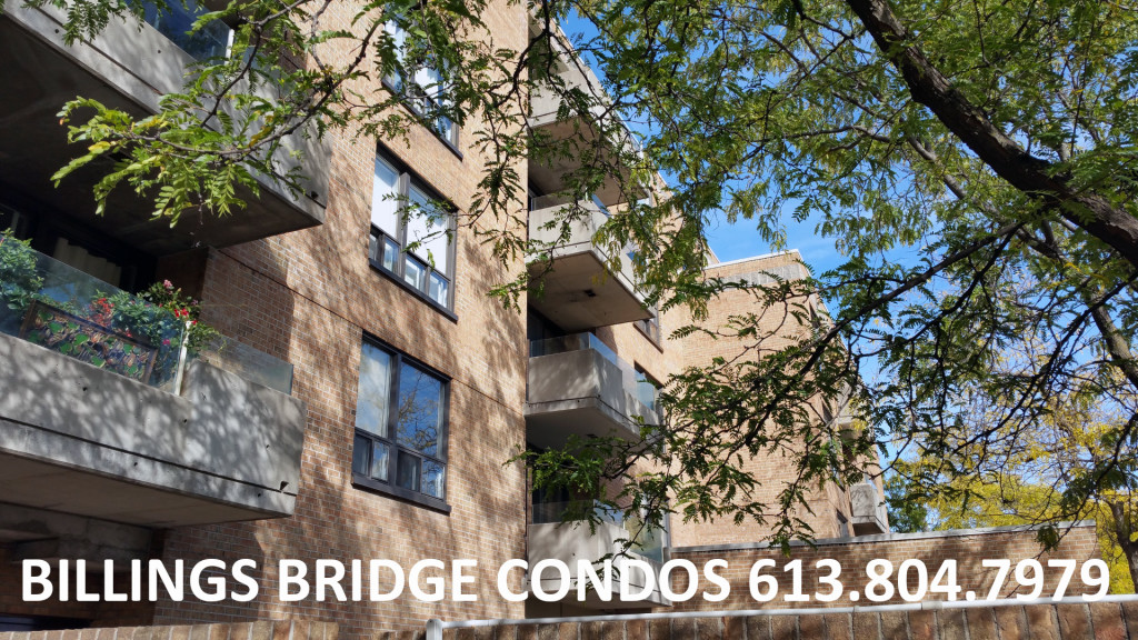 billings-bridge-condos-ottawa-condominiums-1177-belanger-avenue (5)