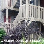 Condos Ottawa Condominiums For Sale Hintonburg 51 Spadina Avenue Molly & Claude Team