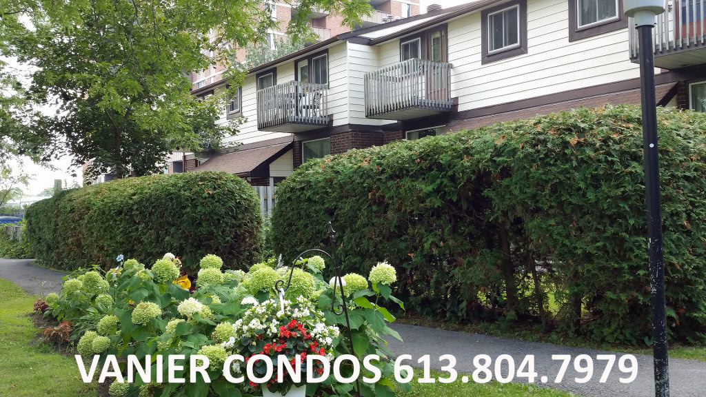 vanier-condos-ottawa-condominiums-montfort-street (3)