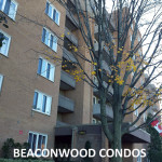 ottawa condos for sale in beaconwood condominiums lassiter terrace