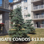 ottawa condos for sale in avalon nottingate springridge condominiums potts private