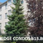 ottawa condos for sale in avalon nottingate springridge condominiums valin street