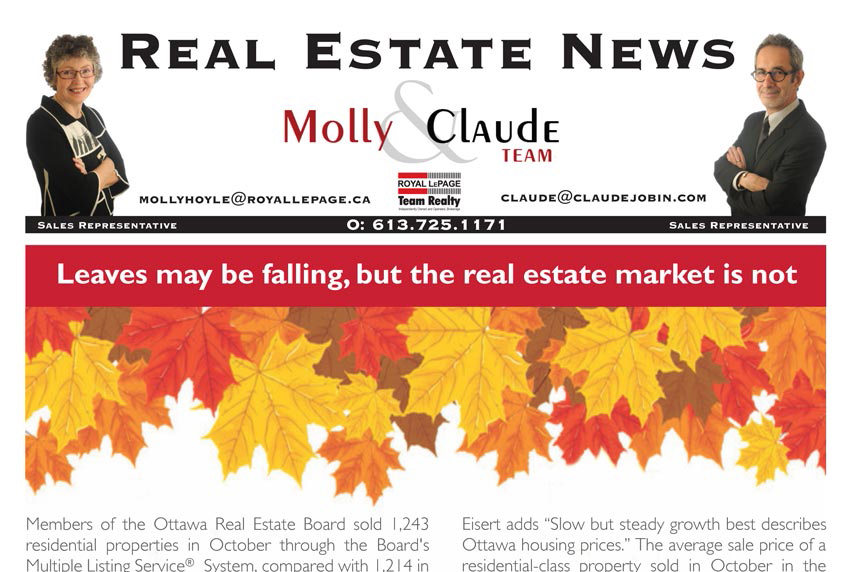 Real Estate Newsletter <br>November 2017